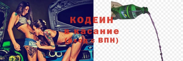 молекула духа Елабуга