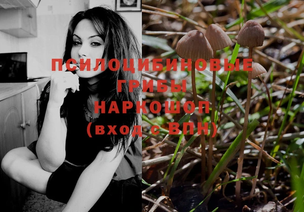 молекула духа Елабуга
