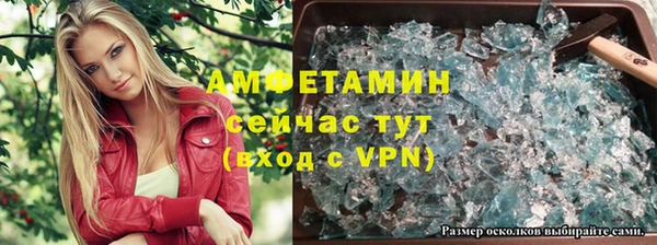 твердый Дмитров