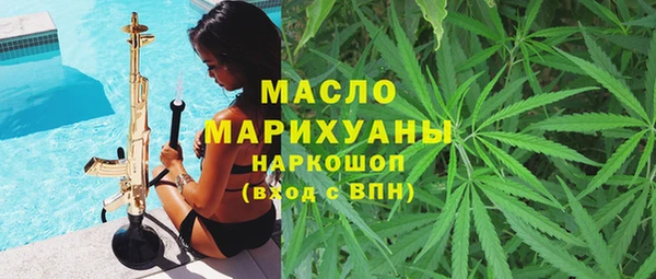 молекула духа Елабуга