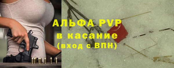 молекула духа Елабуга