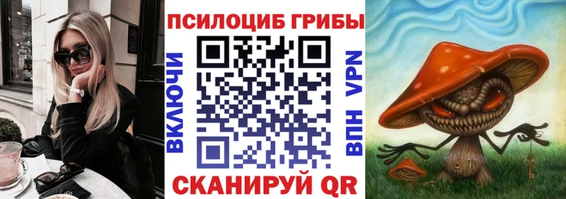 Галлюциногенные грибы Psilocybe где найти Жуковский